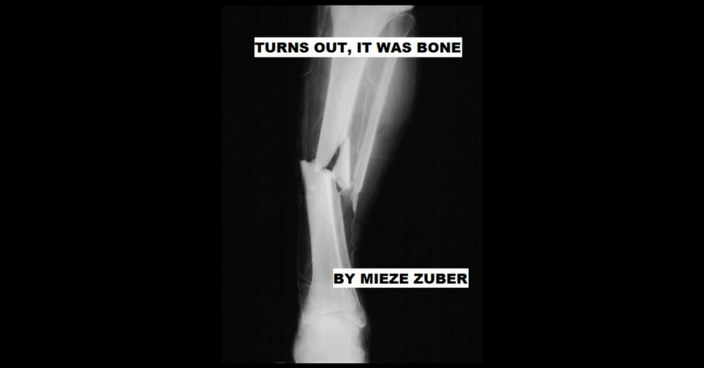 TURNS OUT, IT WAS BONE by Mieze Zuber