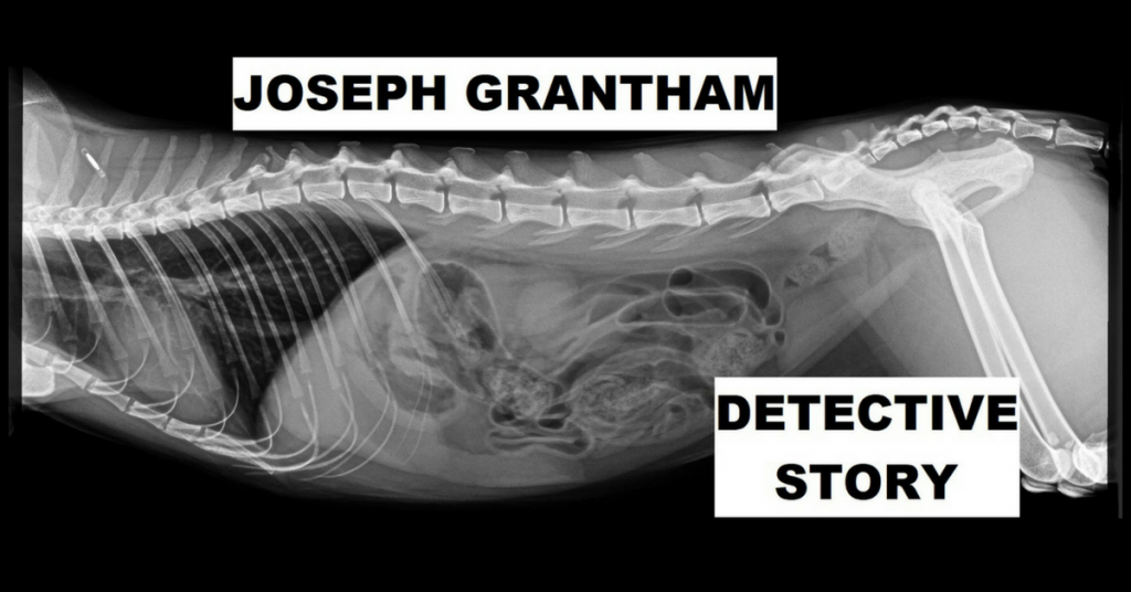 DETECTIVE STORY by Joseph Grantham