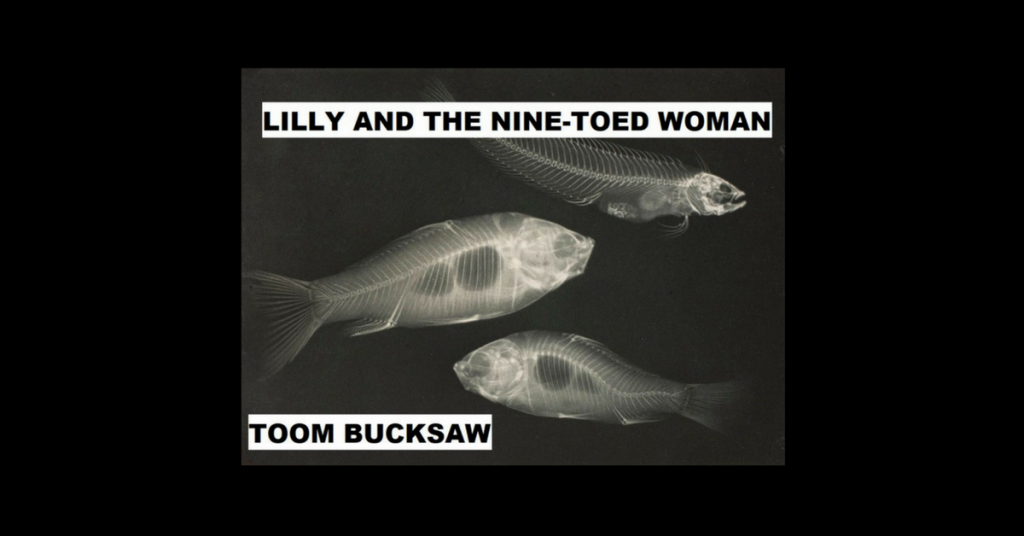 LILLY AND THE NINE-TOED WOMAN by Toom Bucksaw