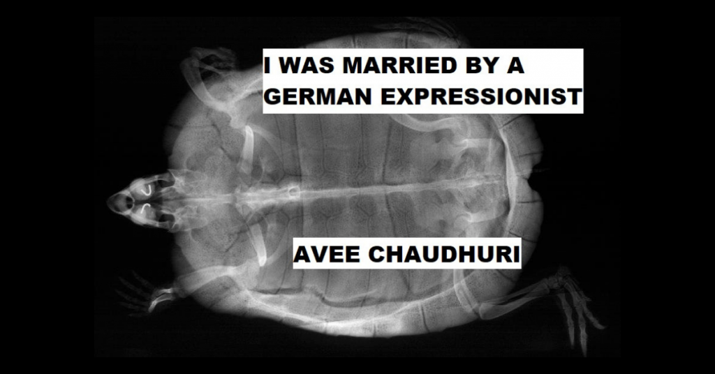 I WAS MARRIED BY A GERMAN EXPRESSIONIST by Avee Chaudhuri