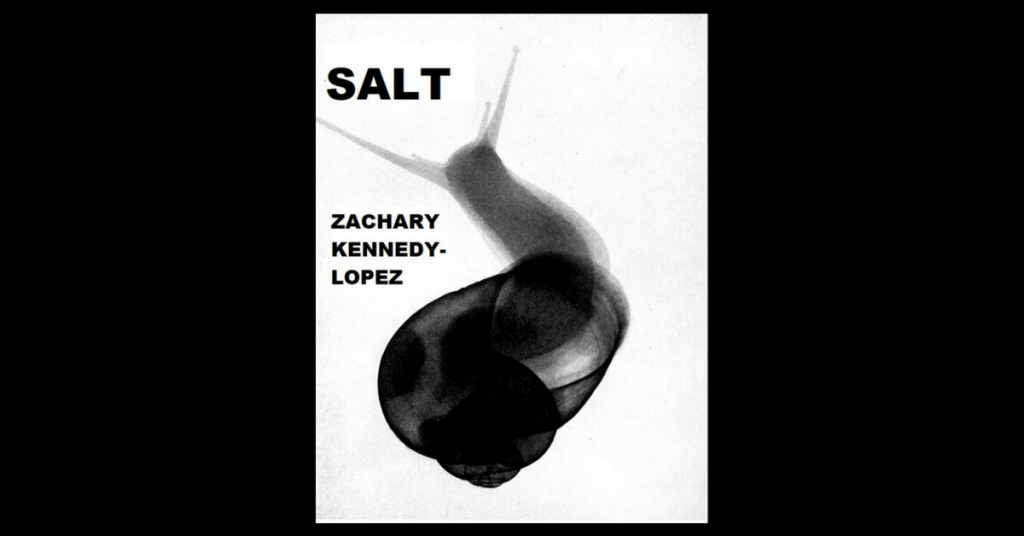 SALT by Zachary Kennedy-Lopez