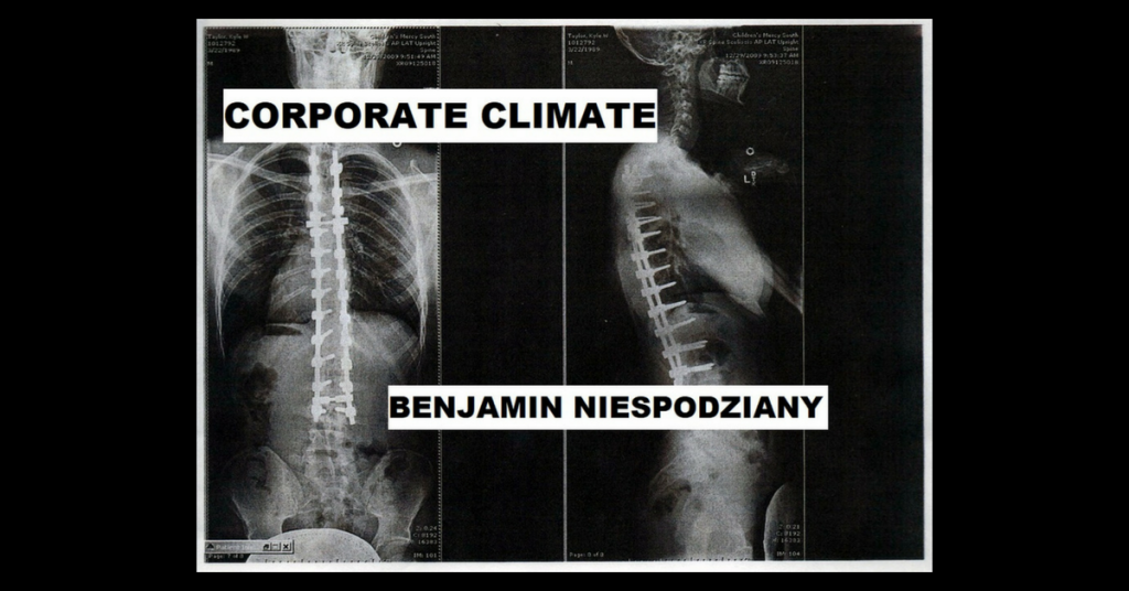 CORPORATE CLIMATE by Benjamin Niespodziany