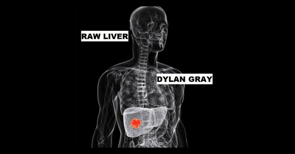 RAW LIVER by Dylan Gray