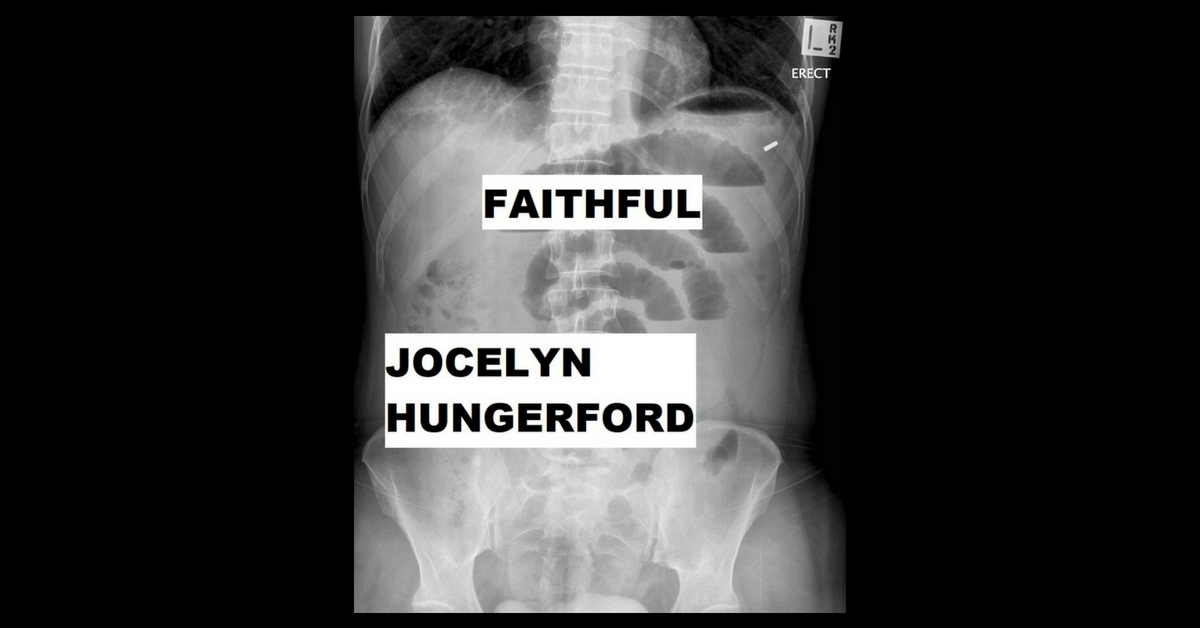 FAITHFUL by Jocelyn Hungerford XRAY