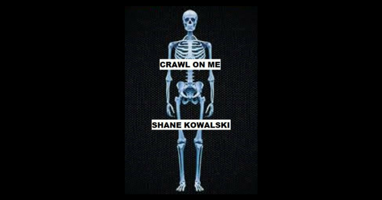 shane kowalski