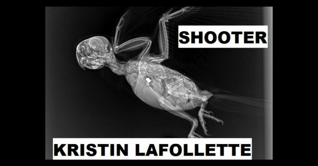 SHOOTER by Kristin LaFollette