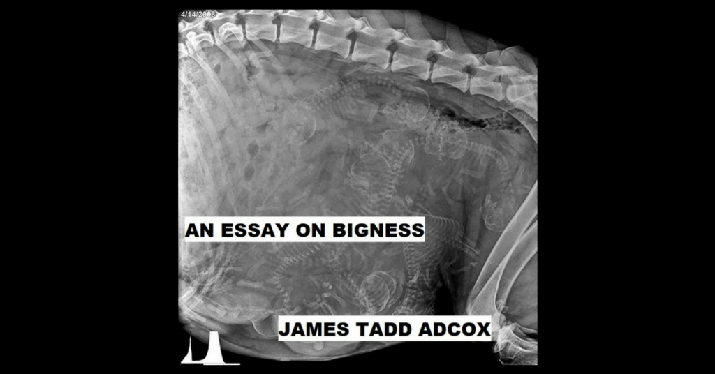 AN ESSAY ON BIGNESS by James Tadd Adcox