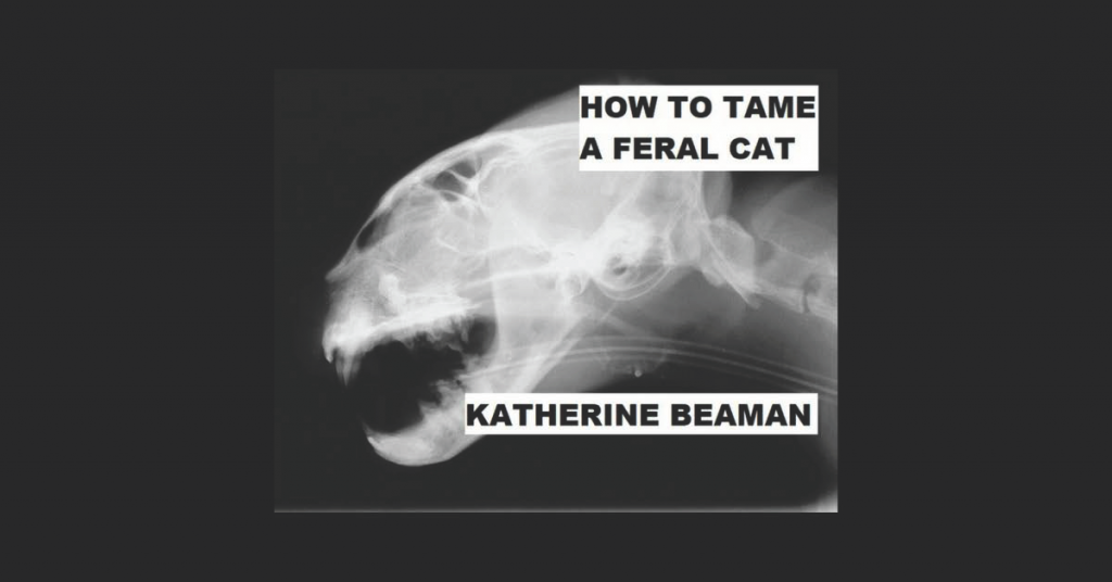 HOW TO TAME A FERAL CAT by Katherine Beaman