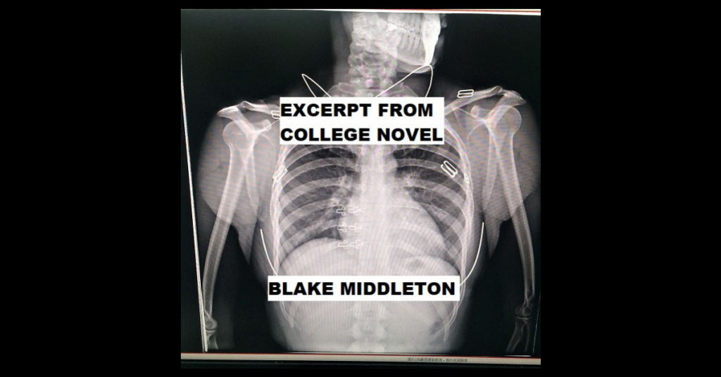 EXCERPT FROM “COLLEGE NOVEL” by Blake Middleton