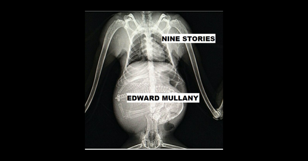 NINE STORIES by Edward Mullany