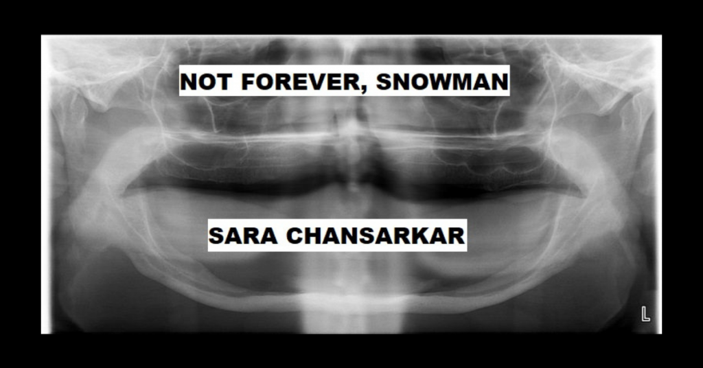 NOT FOREVER, SNOWMAN by Sara Chansarkar