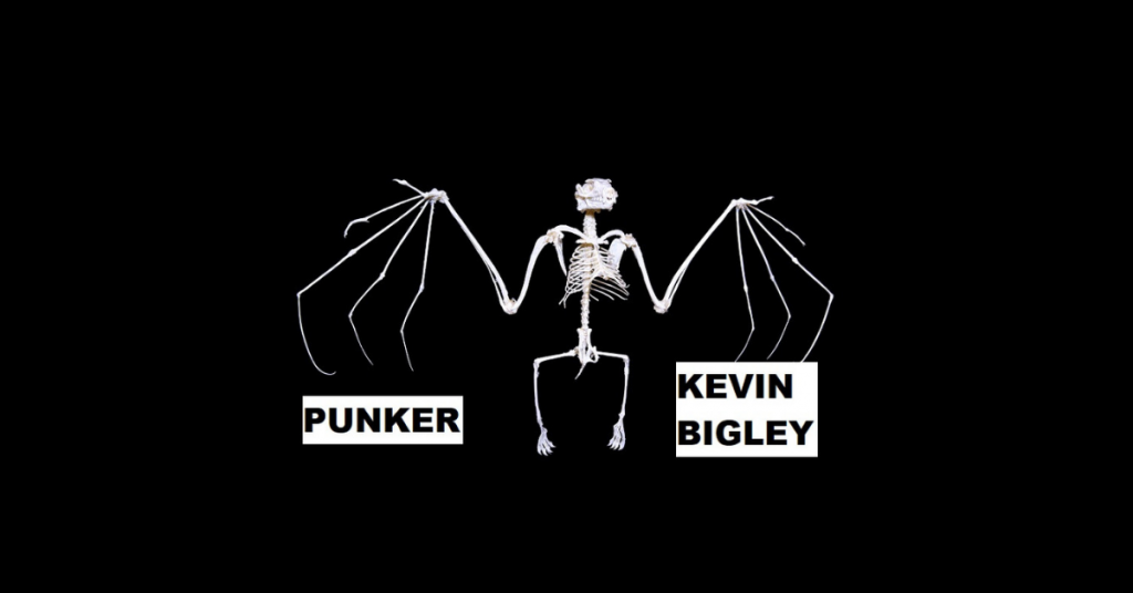 kevin bigley