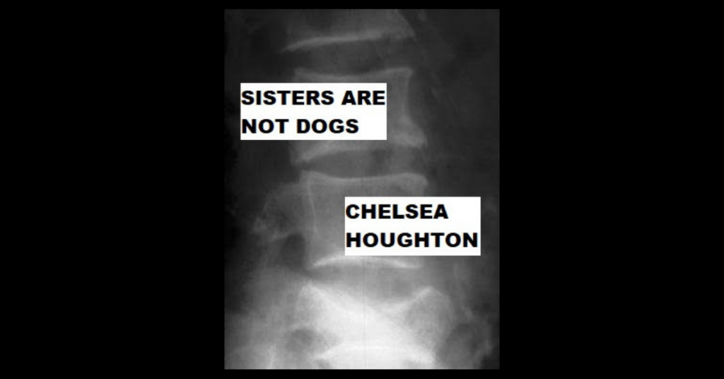 SISTERS ARE NOT DOGS by Chelsea Houghton