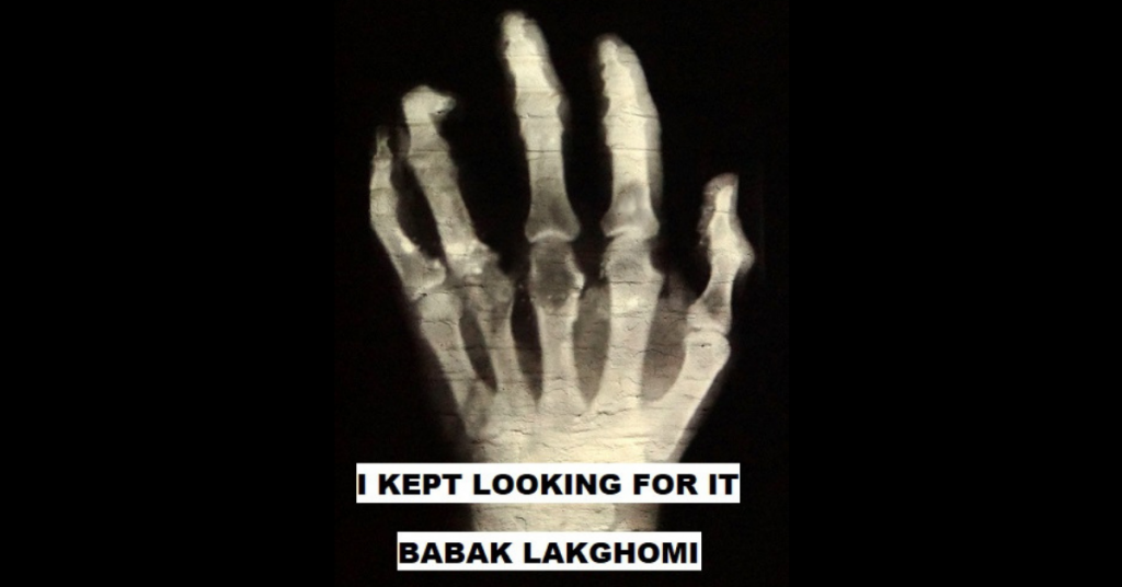 I KEPT LOOKING FOR IT by Babak Lakghomi