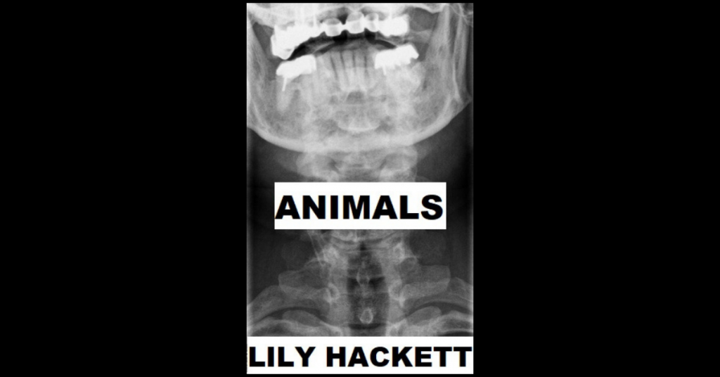 ANIMALS by Lily Hackett