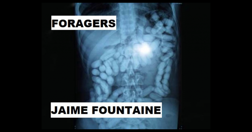 FORAGERS by Jaime Fountaine