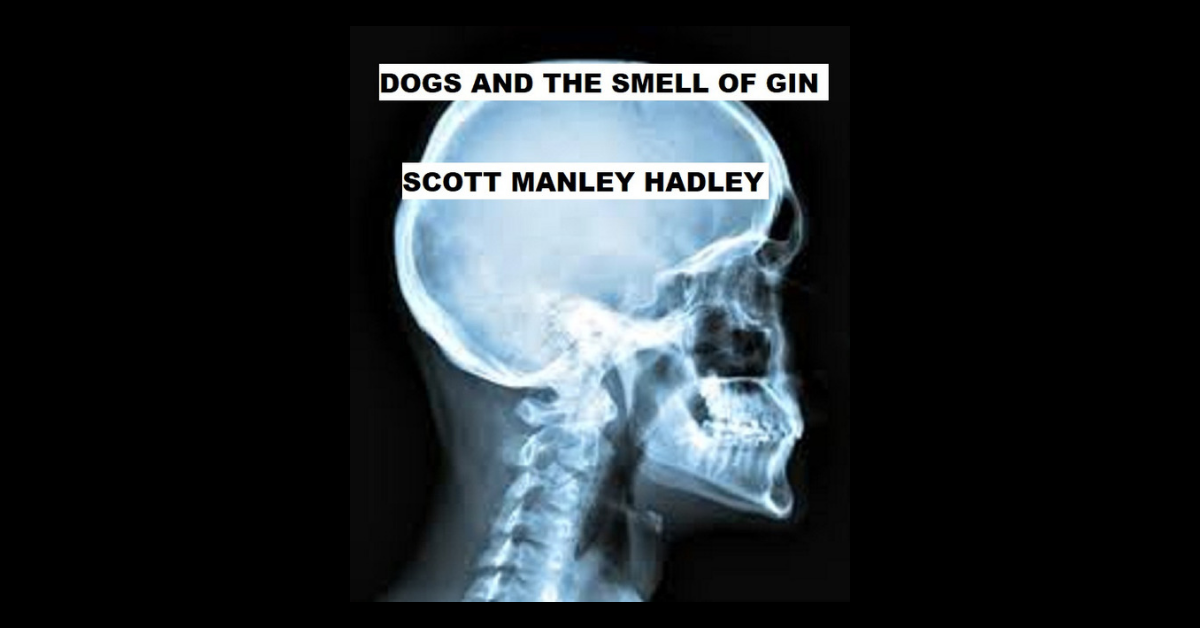 Dogs And The Smell Of Gin By Scott Manley Hadley X R A Y