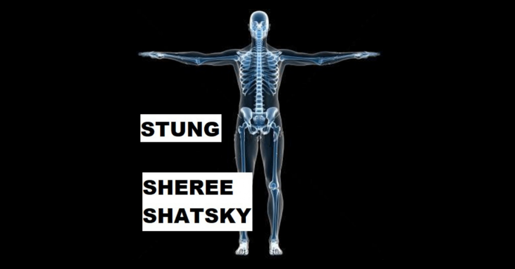 STUNG by Sheree Shatsky