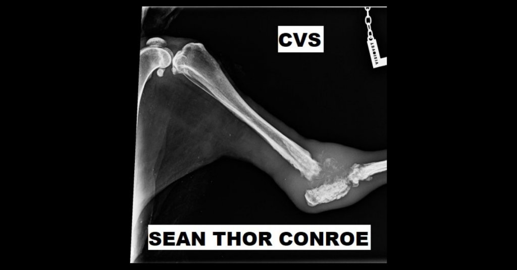 CVS by Sean Thor Conroe