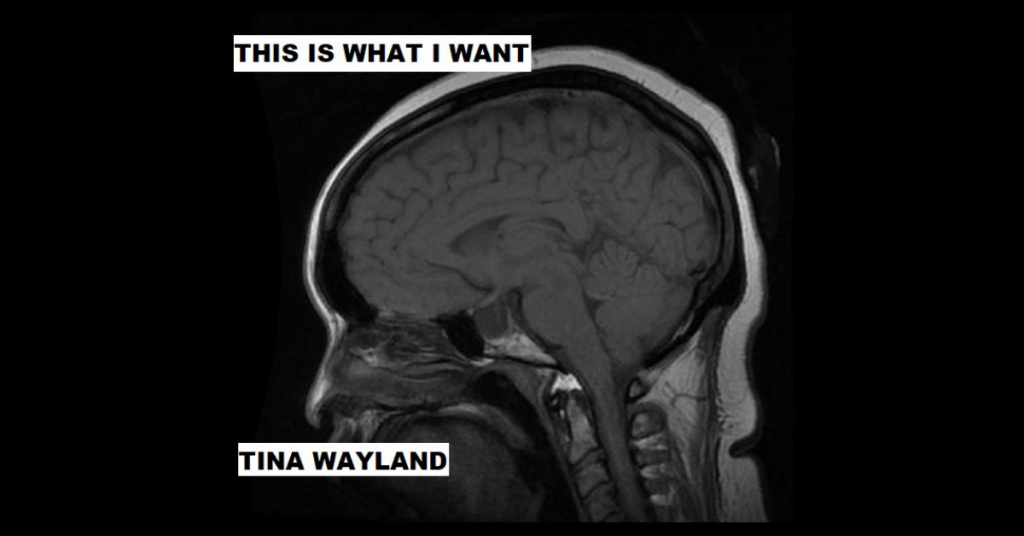 THIS IS WHAT I WANT by Tina Wayland