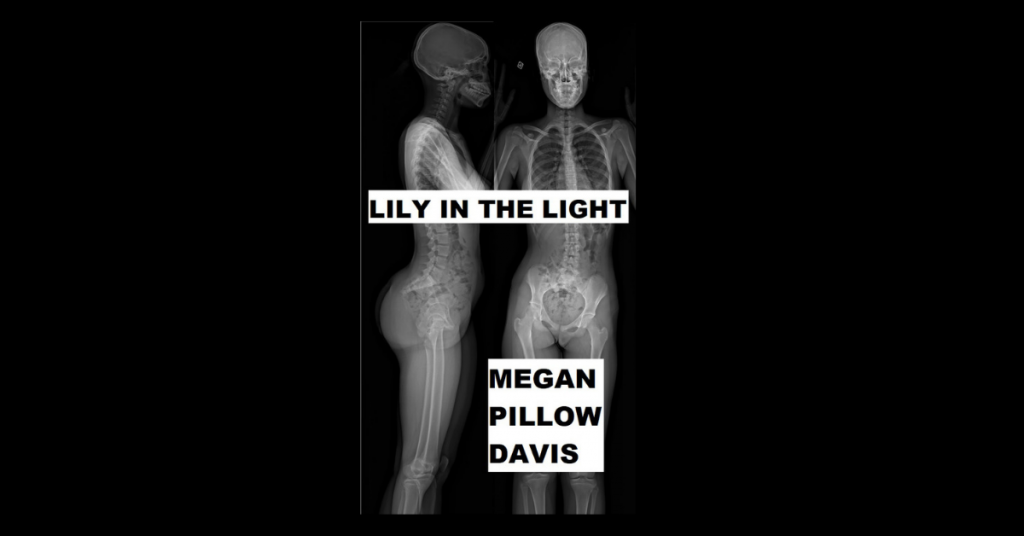 LILY IN THE LIGHT by Megan Pillow