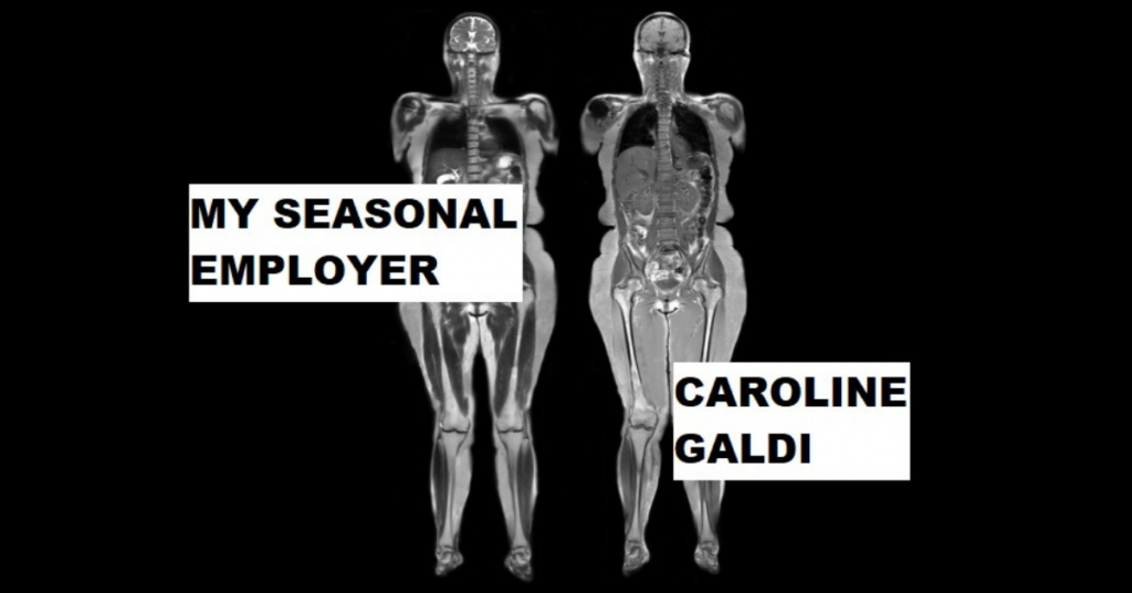 MY SEASONAL EMPLOYER by Caroline Galdi