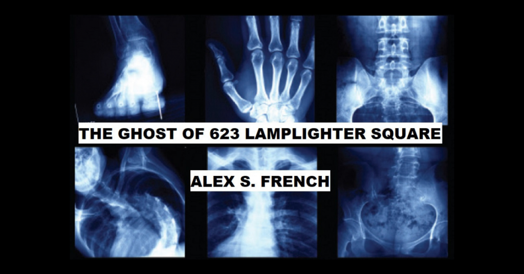 THE GHOST OF 623 LAMPLIGHTER SQUARE by Alex S. French