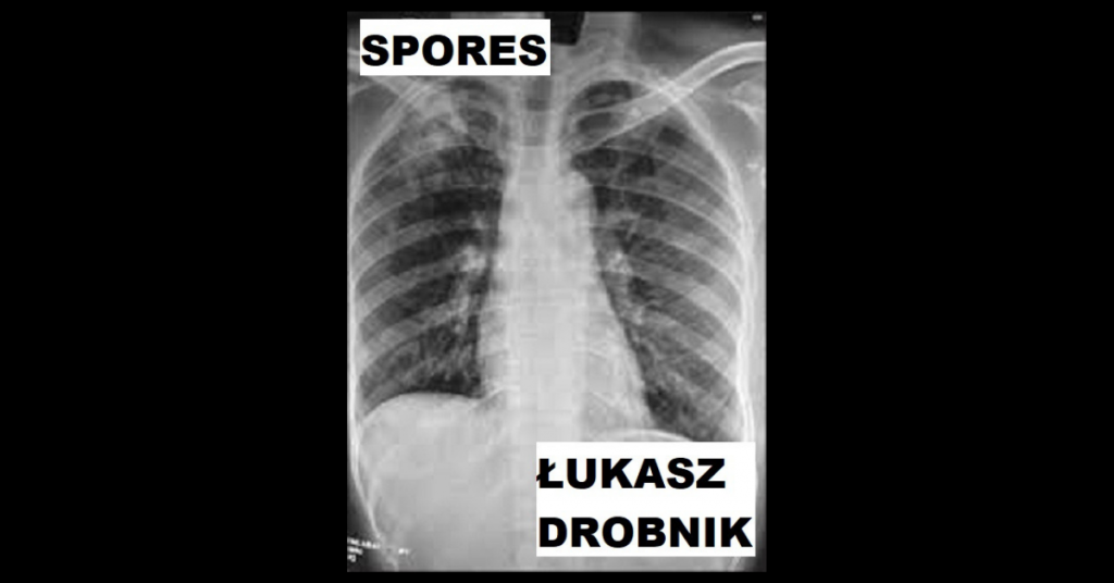SPORES by Łukasz Drobnik