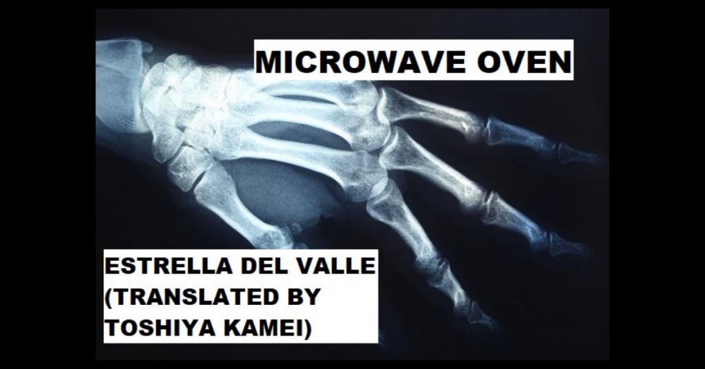 MICROWAVE OVEN by Estrella del Valle (translated by Toshiya Kamei)
