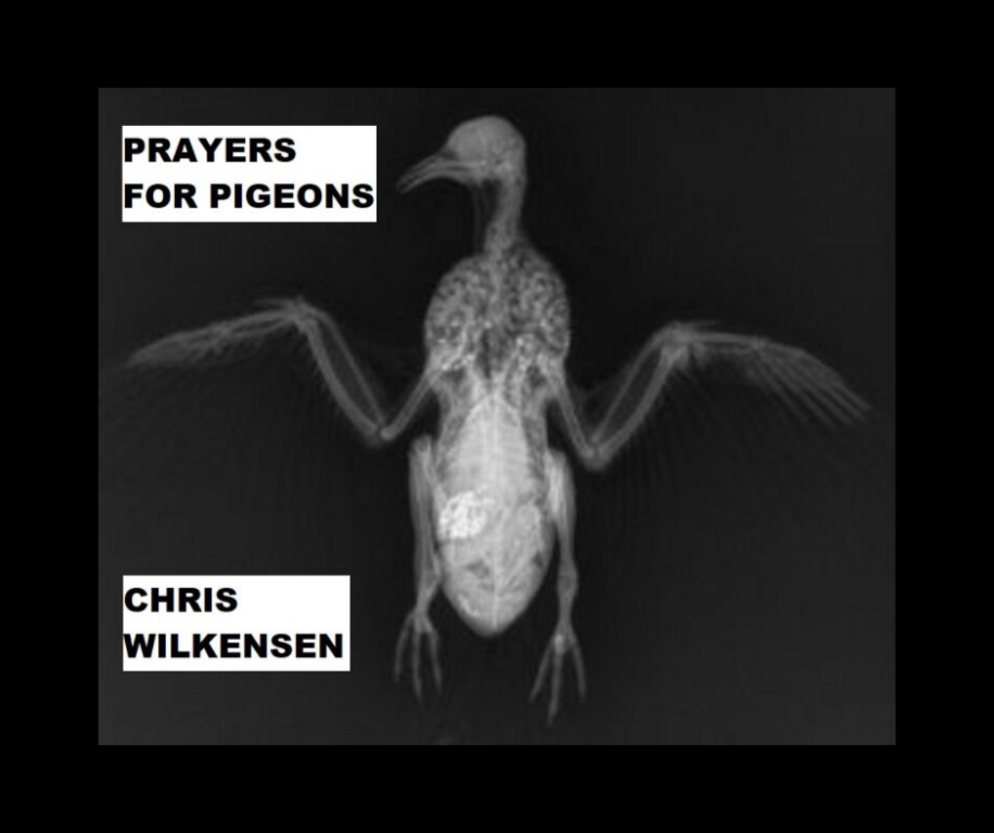 PRAYERS FOR PIGEONS by Chris Wilkensen