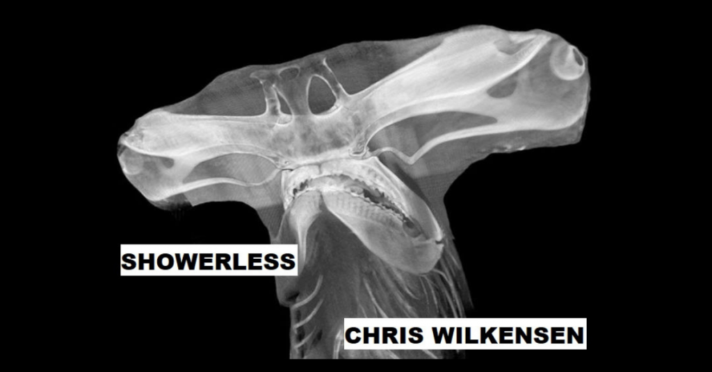 SHOWERLESS by Chris Wilkensen