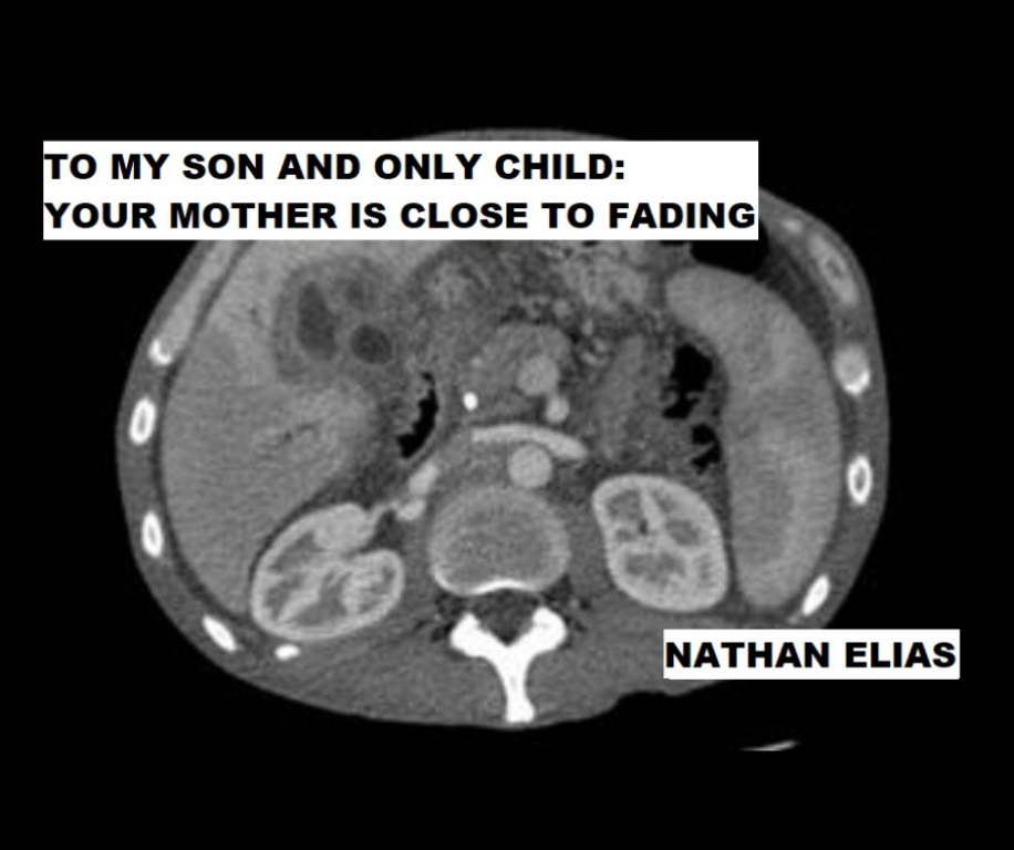 TO MY SON AND ONLY CHILD: YOUR MOTHER IS CLOSE TO FADING by Nathan Elias