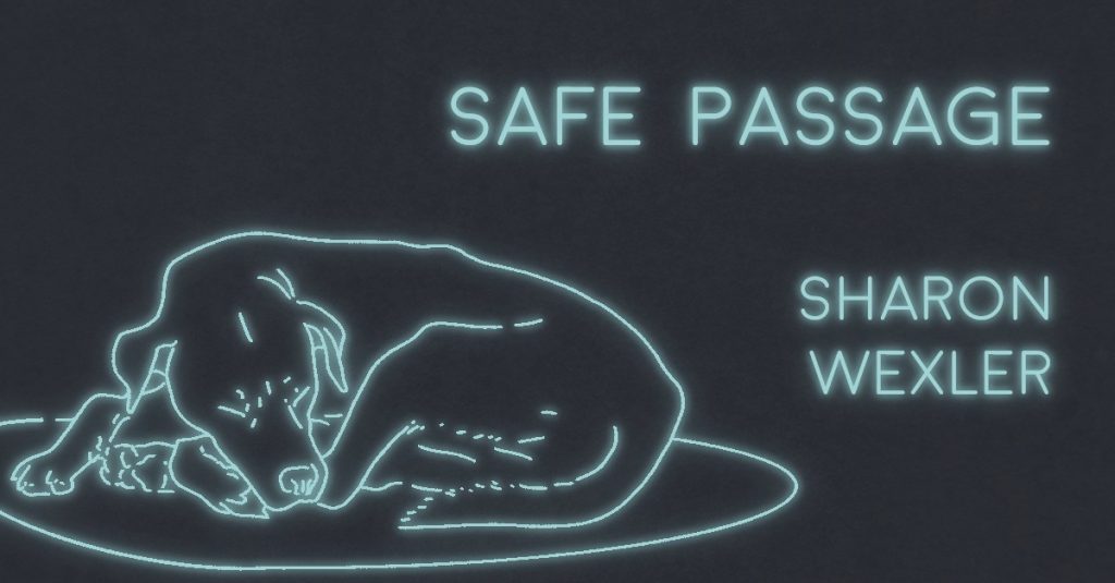 SAFE PASSAGE by Sharon Dale Wexler