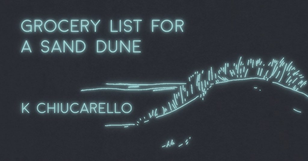 A GROCERY LIST FOR A SAND DUNE by K Chiucarello