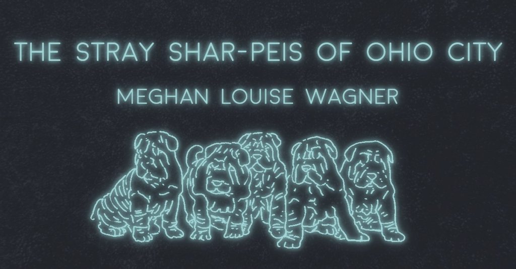 THE STRAY SHAR-PEIS OF OHIO CITY by Meghan Louise Wagner