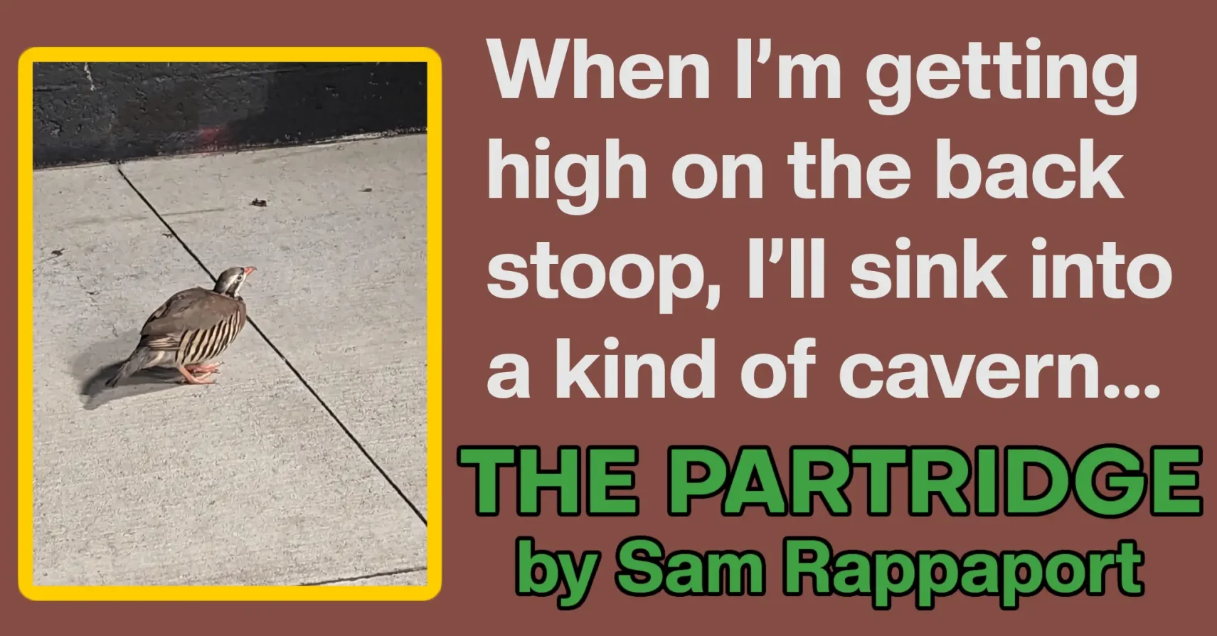 The Partridge by Sam Rappaport The Partridge by Sam Rappaport
