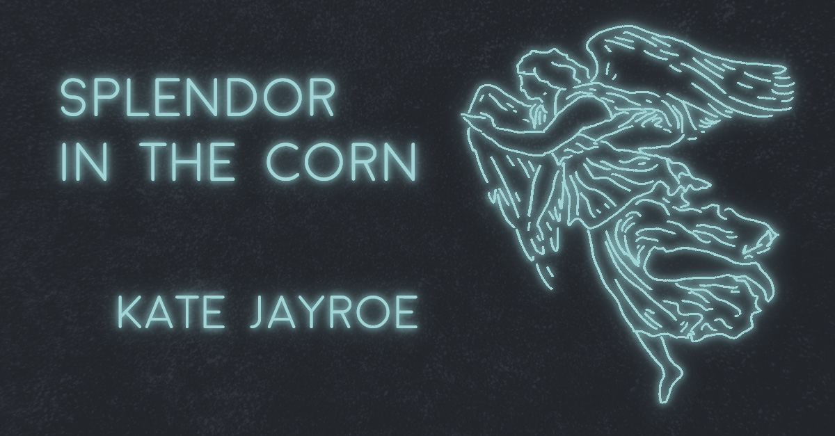 SPLENDOR IN THE CORN by Kate Jayroe