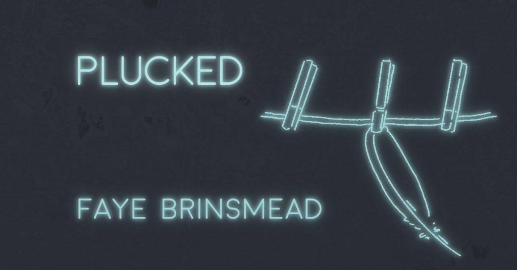 PLUCKED by Faye Brinsmead