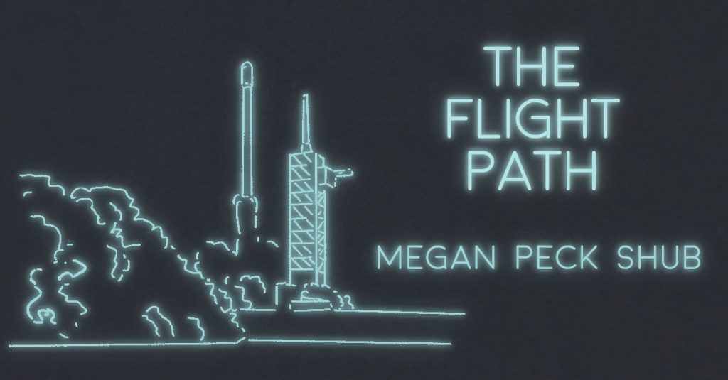 THE FLIGHT PATH by Megan Peck Shub