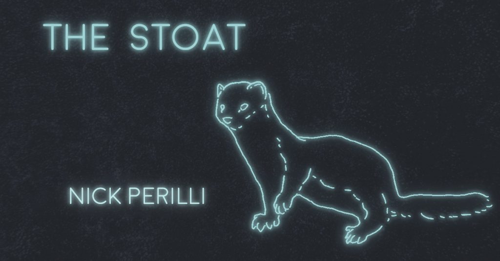 THE STOAT by Nick Perilli