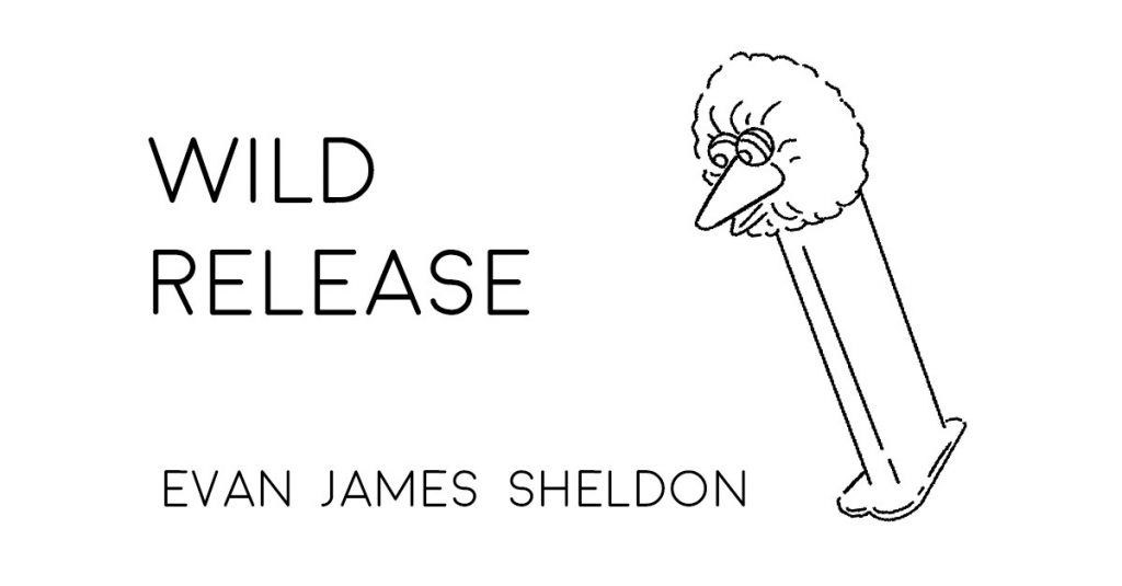 WILD RELEASE by Evan James Sheldon