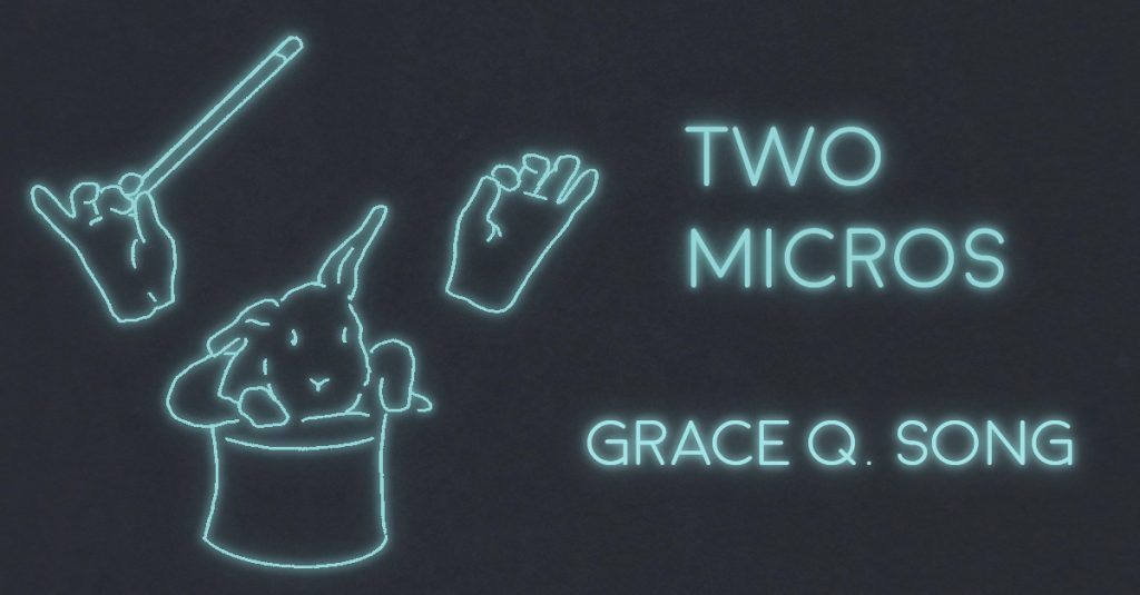 TWO MICROS by Grace Q. Song