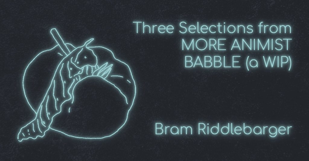 THREE SELECTIONS FROM MORE ANIMIST BABBLE (A WIP) by Bram Riddlebarger