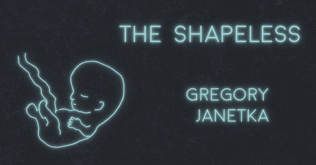 THE SHAPELESS by Gregory T. Janetka