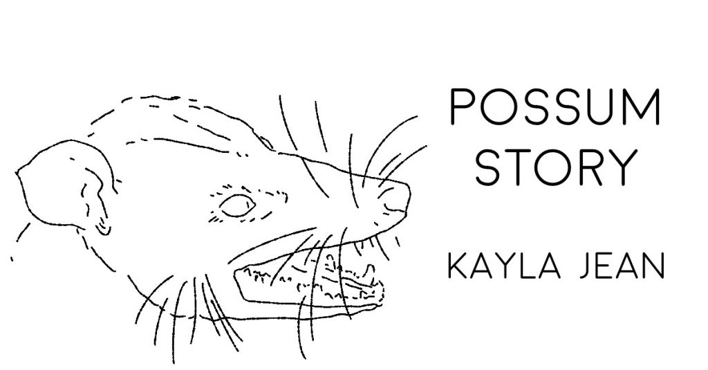 POSSUM STORY by Kayla Jean