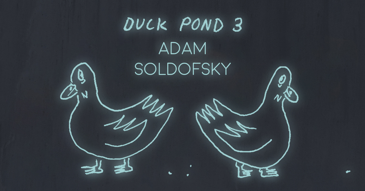 DUCK POND 3 by Adam Soldofsky
