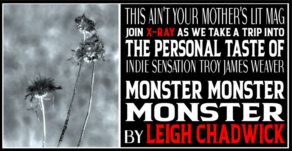 MONSTER MONSTER MONSTER by Leigh Chadwick