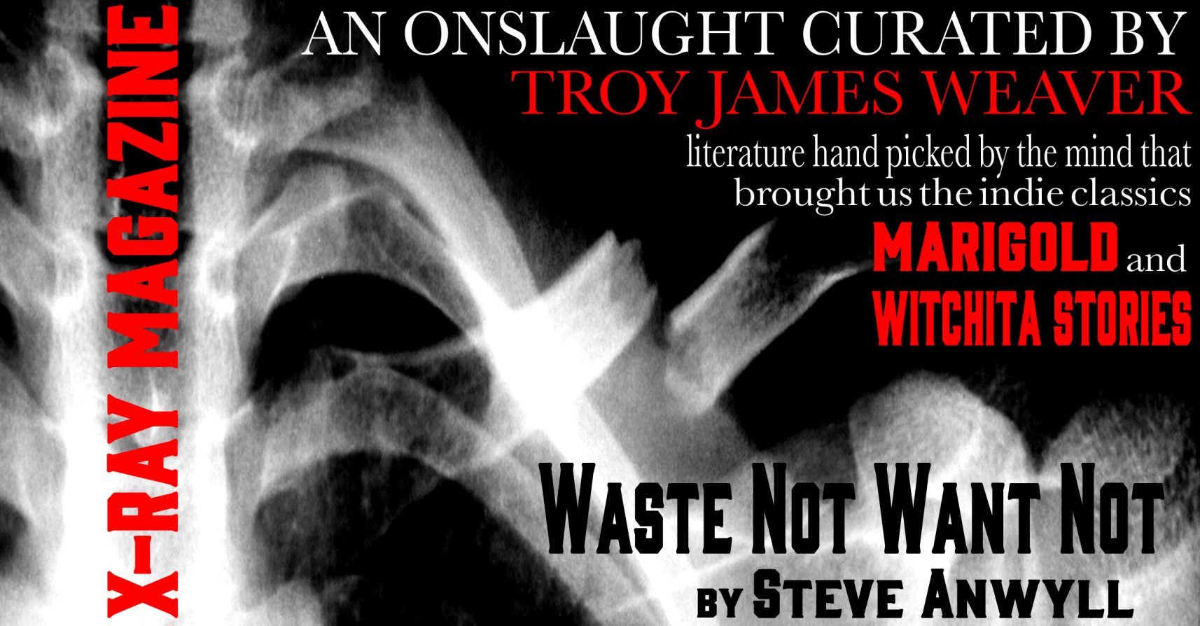WASTE NOT WANT NOT by Steve Anwyll