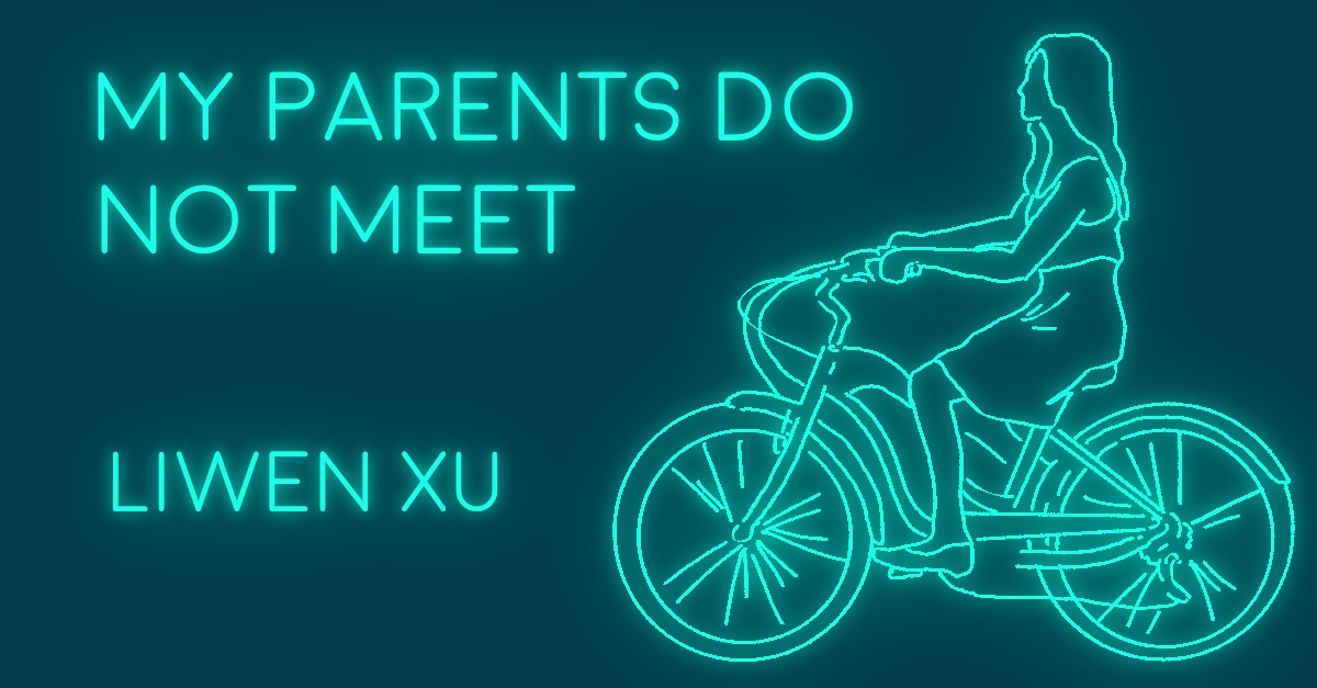MY PARENTS DO NOT MEET by Liwen Xu