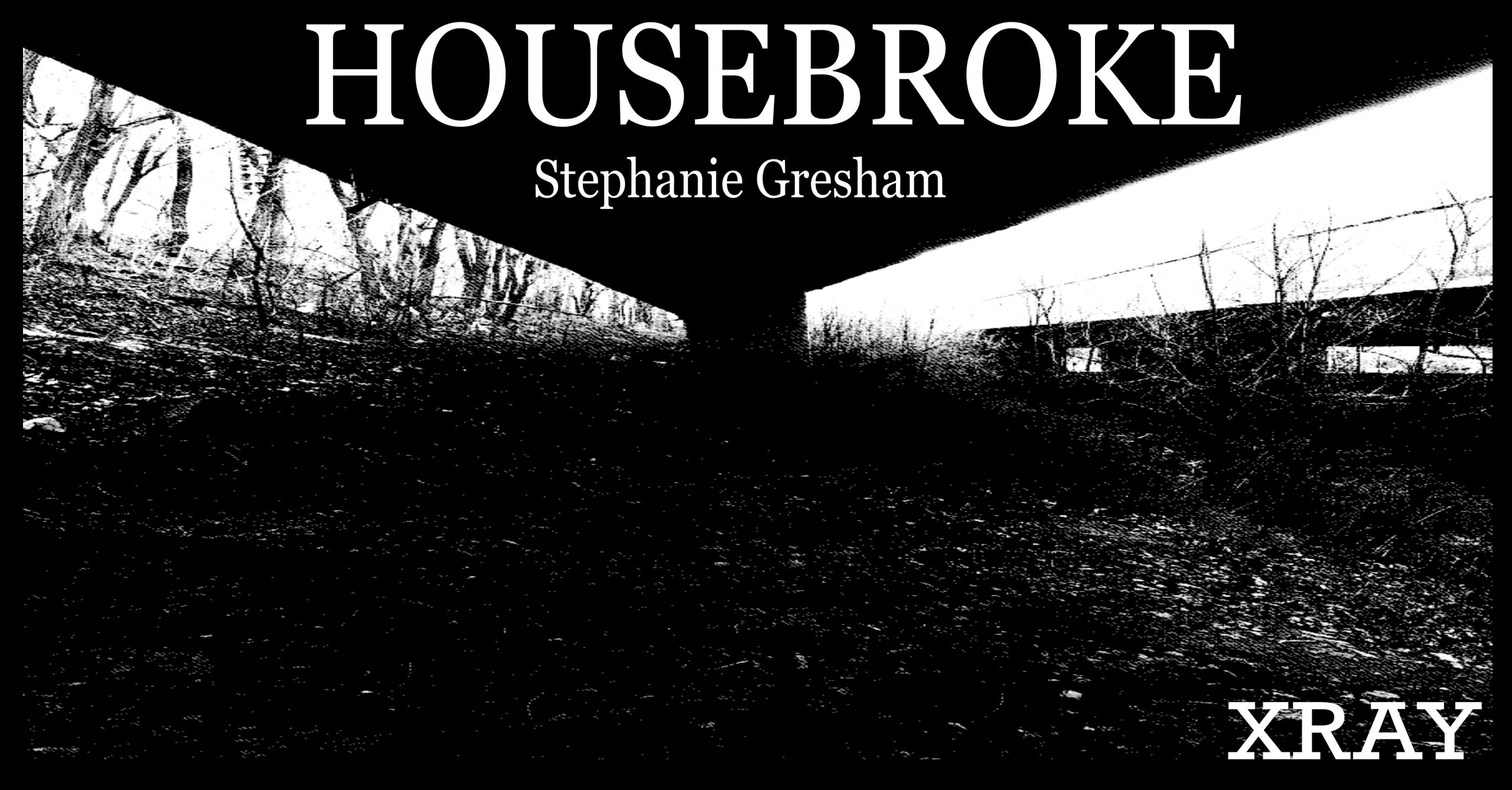 HOUSEBROKE by Stephanie Gresham | X-R-A-Y